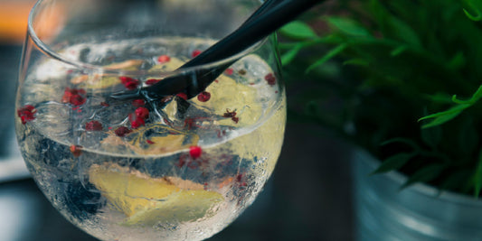 Consejos para Preparar el Gin Tonic Perfecto